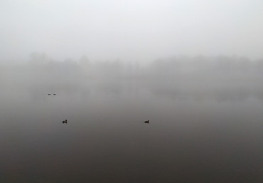 Это был плотный туман, который стоял над водой целый день. На реке видны были лишь уточки, которые то появлялись, то исчезали в дымке.